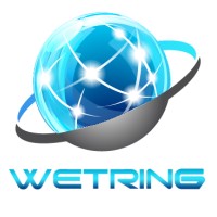 wetringinfotech_logo